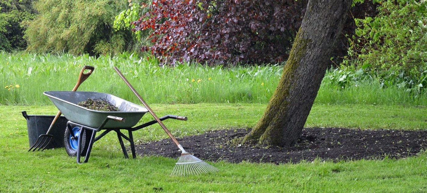 Entretien de jardin
