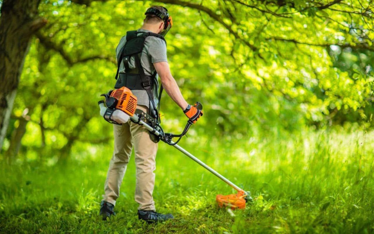 Entretien de jardin et débroussaillage
