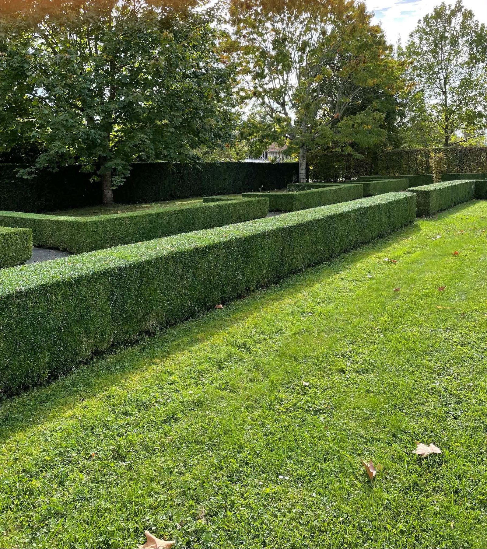 Jardin avec haies structurées